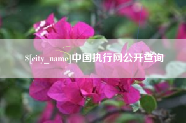 陵水中国执行网公开查询
