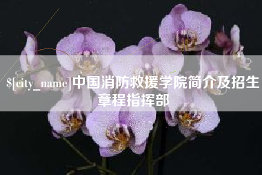 陵水中国消防救援学院简介及招生章程指挥部