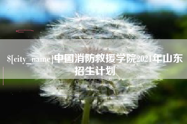 陵水中国消防救援学院2021年山东招生计划