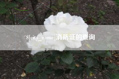陵水消防证的查询