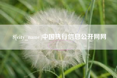 陵水中国执行信息公开网网