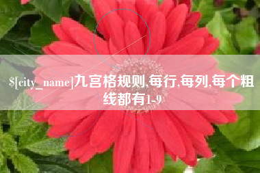 陵水九宫格规则,每行,每列,每个粗线都有1-9