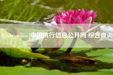 陵水中国执行信息公开网 综合查询