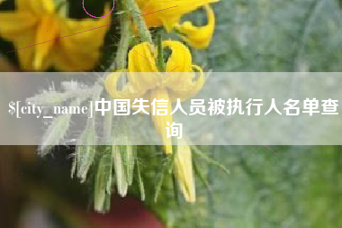 陵水中国失信人员被执行人名单查询