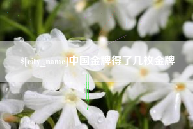 陵水中国金牌得了几枚金牌