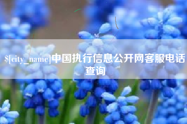 陵水中国执行信息公开网客服电话查询
