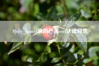 陵水消防产品cccf认证目录