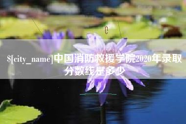 陵水中国消防救援学院2020年录取分数线是多少