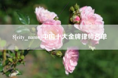 陵水中国十大金牌律师名单