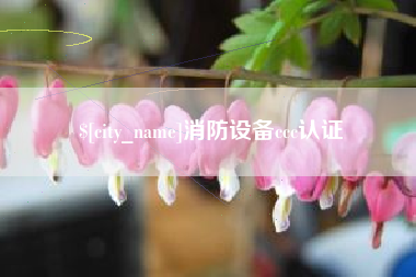 陵水消防设备ccc认证