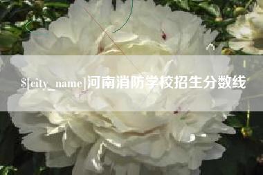 陵水河南消防学校招生分数线