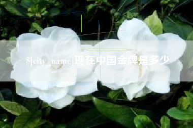 陵水现在中国金牌是多少