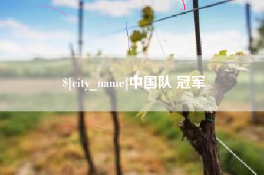 陵水中国队 冠军