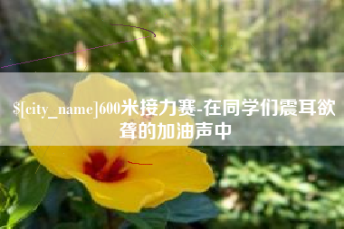 陵水600米接力赛-在同学们震耳欲聋的加油声中