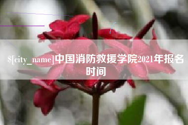 陵水中国消防救援学院2021年报名时间