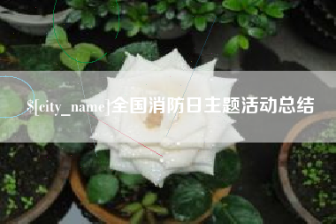 陵水全国消防日主题活动总结