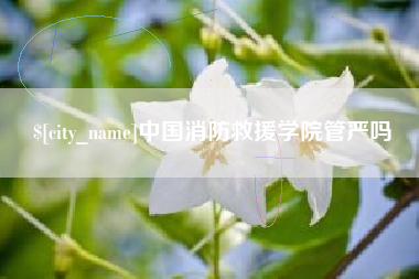 陵水中国消防救援学院管严吗