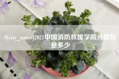 陵水2021中国消防救援学院分数线是多少