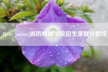 陵水消防救援学院招生录取分数线