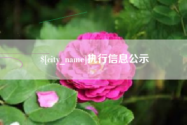 陵水执行信息公示