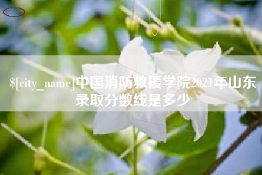 陵水中国消防救援学院2021年山东录取分数线是多少