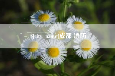陵水成都 消防