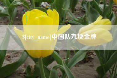 陵水中国队九块金牌