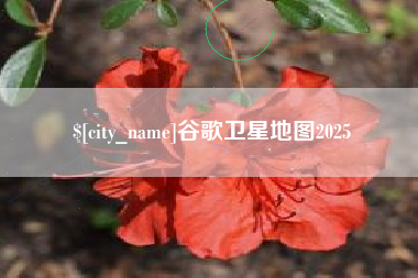陵水谷歌卫星地图2025