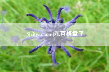 陵水九宫格盘子