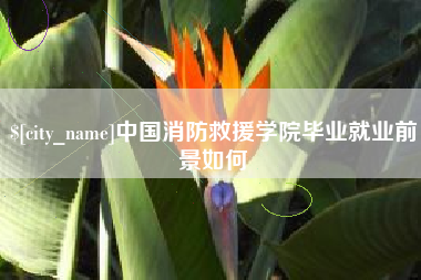 陵水中国消防救援学院毕业就业前景如何