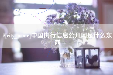 陵水中国执行信息公开网是什么东西