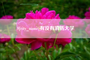 陵水有没有消防大学