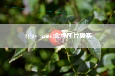 陵水金牌图片真实