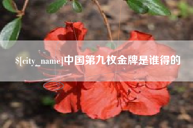 陵水中国第九枚金牌是谁得的