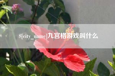 陵水九宫格游戏叫什么