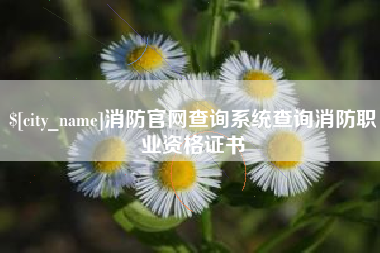 陵水消防官网查询系统查询消防职业资格证书