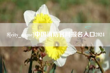 陵水中国消防官网报名入口2024