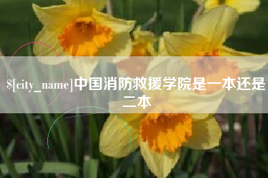 陵水中国消防救援学院是一本还是二本