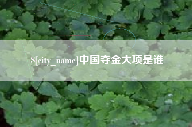 陵水中国夺金大项是谁