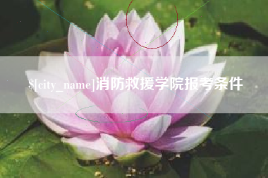 陵水消防救援学院报考条件