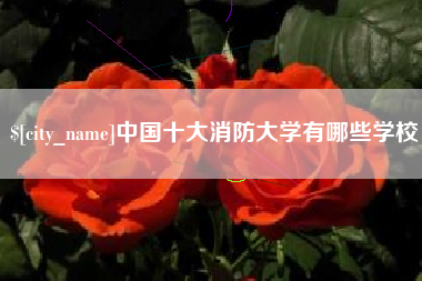陵水中国十大消防大学有哪些学校