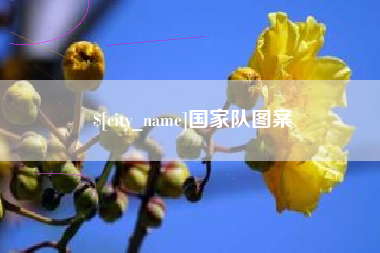 陵水国家队图案