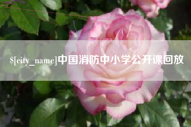 陵水中国消防中小学公开课回放