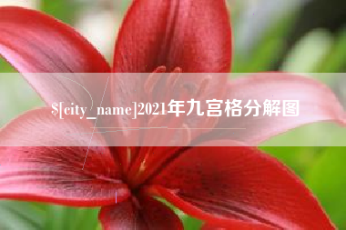 陵水2021年九宫格分解图