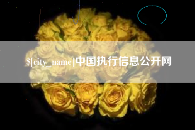 陵水中国执行信息公开网