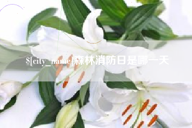 陵水森林消防日是哪一天