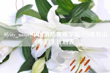 陵水中国消防救援学院2020年在山东招生计划表