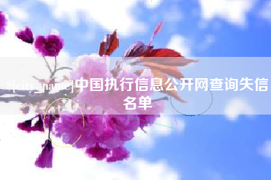 陵水中国执行信息公开网查询失信名单
