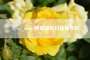 陵水我国消防日是每年的