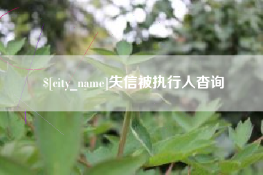 陵水失信被执行人杳询